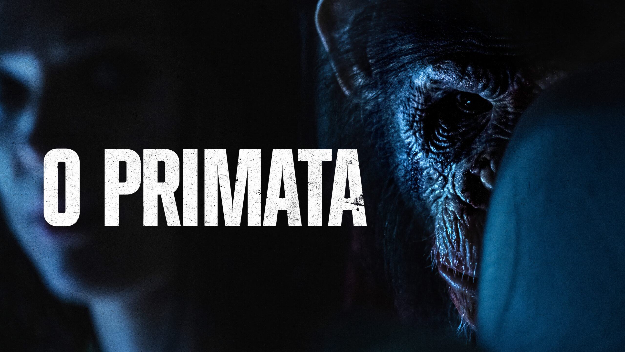 O Primata | Terror elogiado chega às Plataformas Digitais; veja onde ...